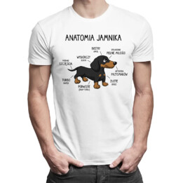 Anatomia jamnika - męska koszulka na prezent