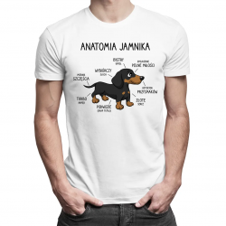 Anatomia jamnika - męska koszulka na prezent