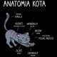 Anatomia kota  - męska koszulka na prezent
