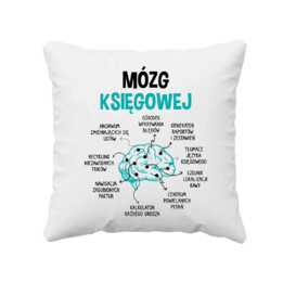 Mózg księgowej - poduszka na prezent