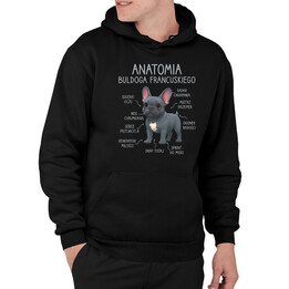 Anatomia buldoga francuskiego - niebieski - męska bluza na prezent