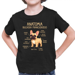 Anatomia buldoga francuskiego - biszkoptowy - dziecięca koszulka na prezent