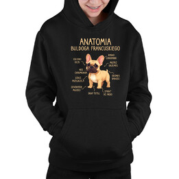 Anatomia buldoga francuskiego - biszkoptowy - dziecięca bluza na prezent