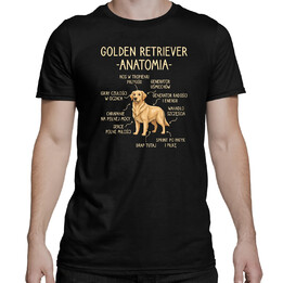 Golden retriever - anatomia  - męska koszulka na prezent