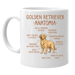 Golden retriever - anatomia  - kubek na prezent