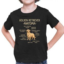 Golden retriever - anatomia  - dziecięca koszulka na prezent
