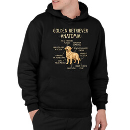 Golden retriever - anatomia  - męska bluza na prezent