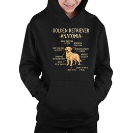 Golden retriever - anatomia  - dziecięca bluza na prezent