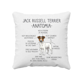 Jack Russell terrier - anatomia - poduszka na prezent