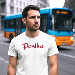 Poslka - dla fanów serialu 1670 - męska koszulka na prezent