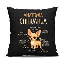 Anatomia Chihuahua - czarna poduszka na prezent