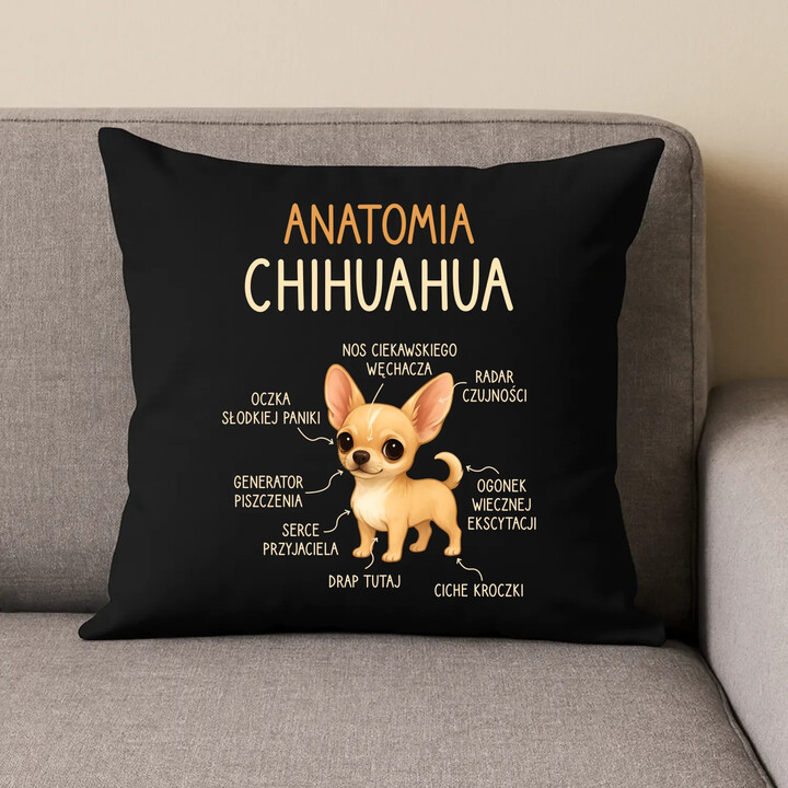 Anatomia Chihuahua - czarna poduszka na prezent