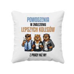 Powodzenia w znalezieniu lepszych kolegów z pracy niż my - poduszka na prezent