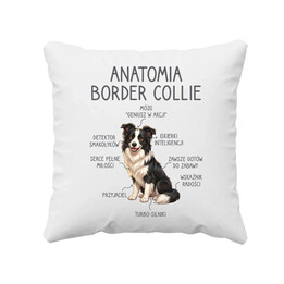 Anatomia border collie - poduszka na prezent