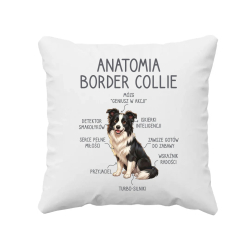 Anatomia border collie - poduszka na prezent
