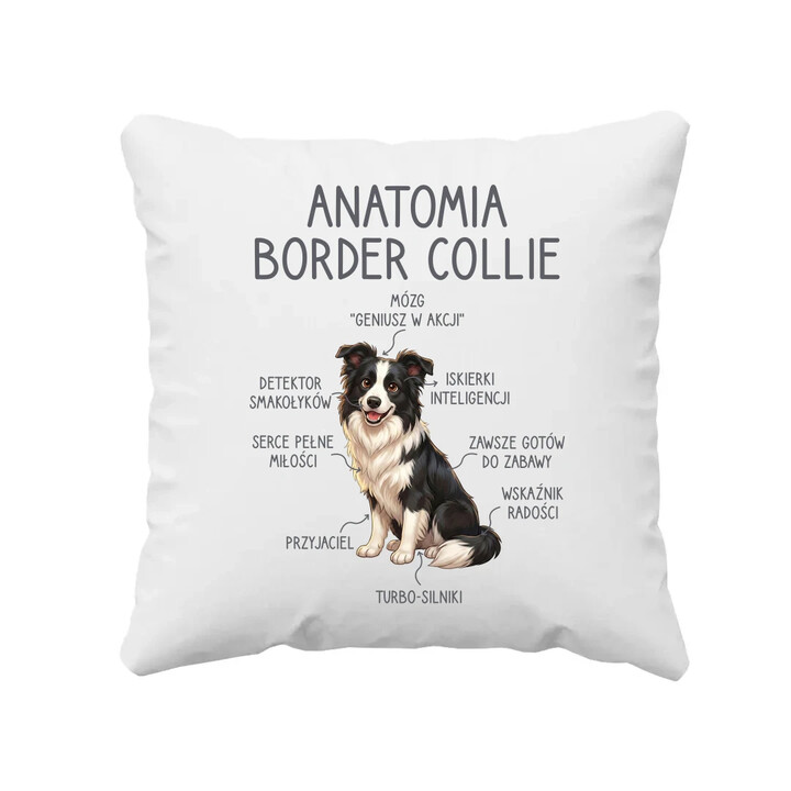 Anatomia border collie - poduszka na prezent