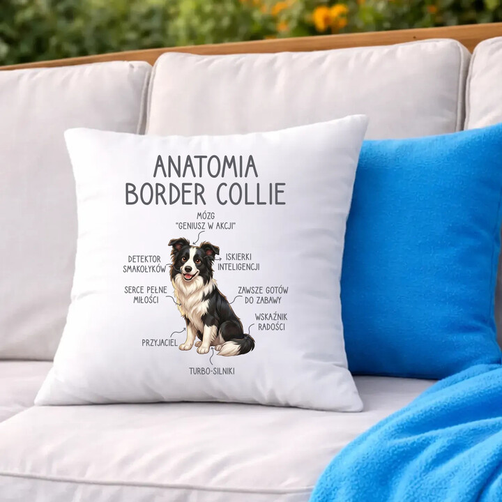 Anatomia border collie - poduszka na prezent