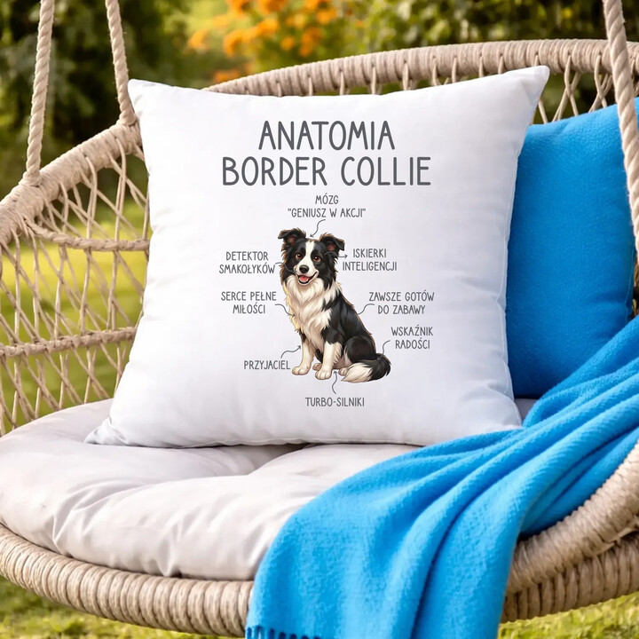 Anatomia border collie - poduszka na prezent