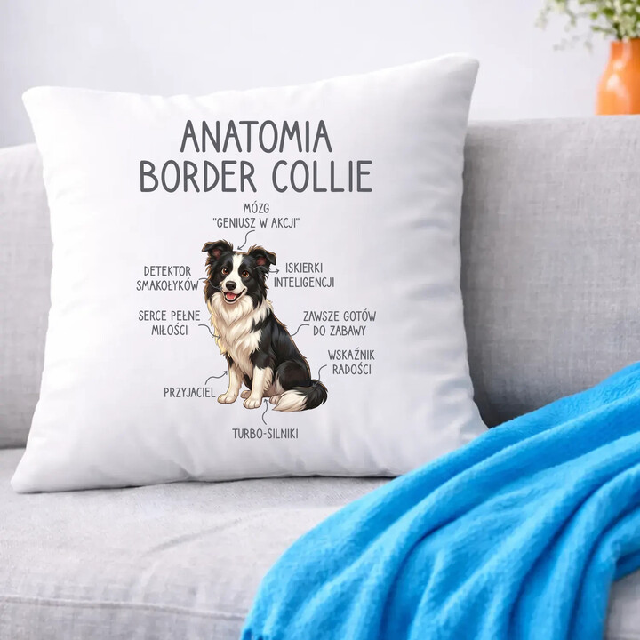 Anatomia border collie - poduszka na prezent
