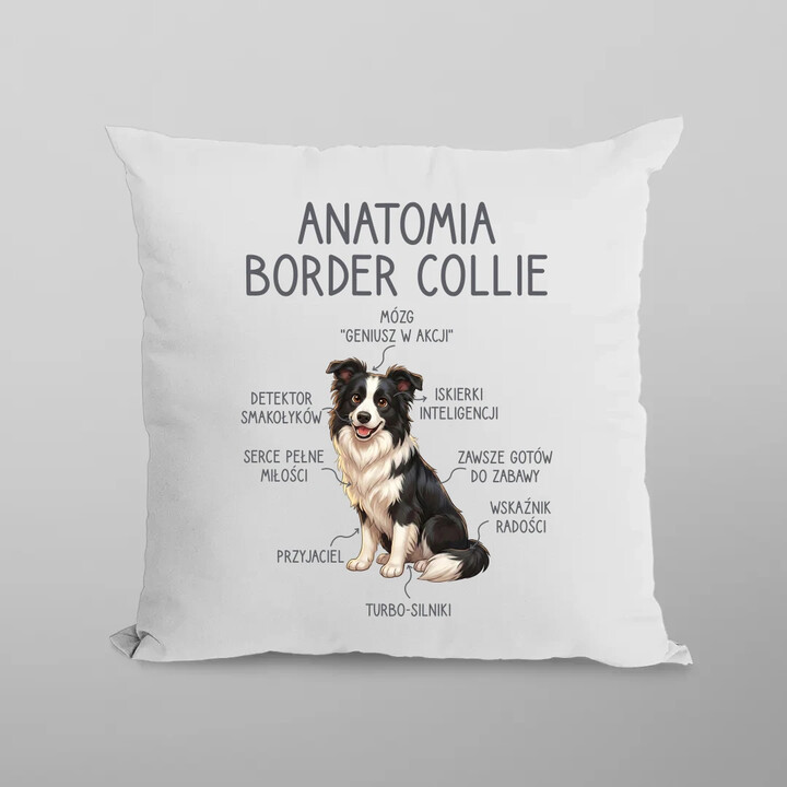 Anatomia border collie - poduszka na prezent