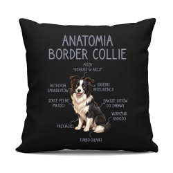 Anatomia border collie - czarna poduszka na prezent