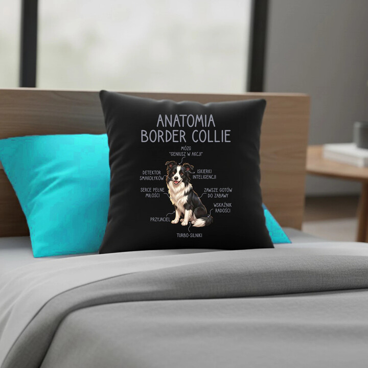 Anatomia border collie - czarna poduszka na prezent