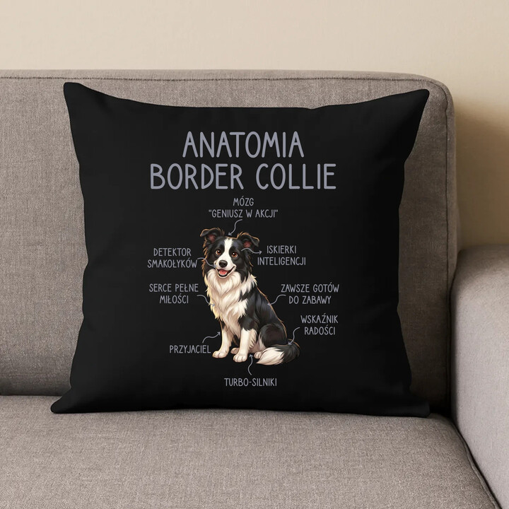 Anatomia border collie - czarna poduszka na prezent