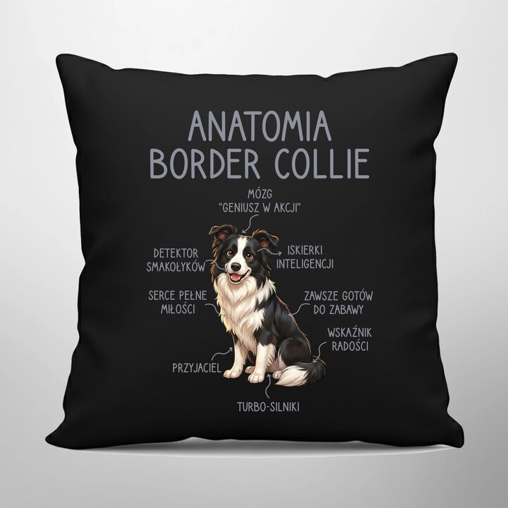 Anatomia border collie - czarna poduszka na prezent