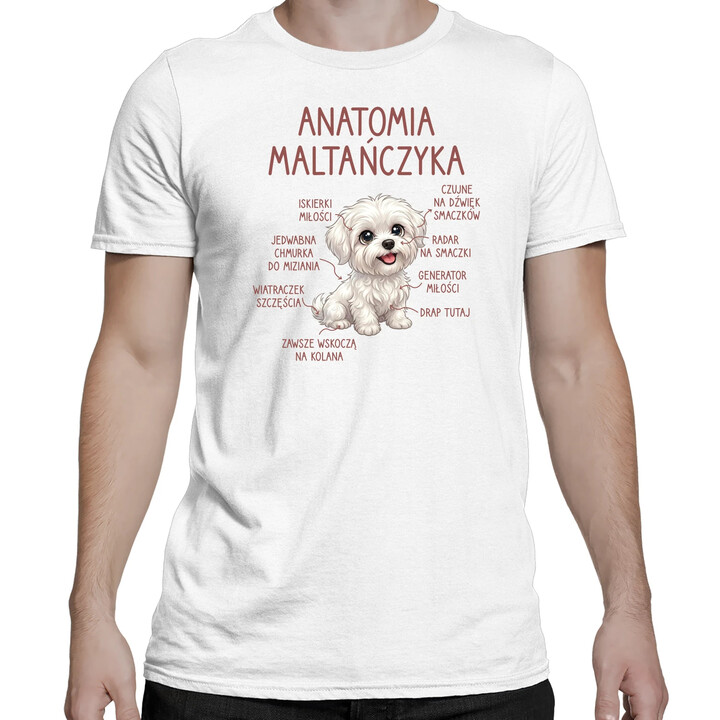Anatomia maltańczyka - męska koszulka na prezent