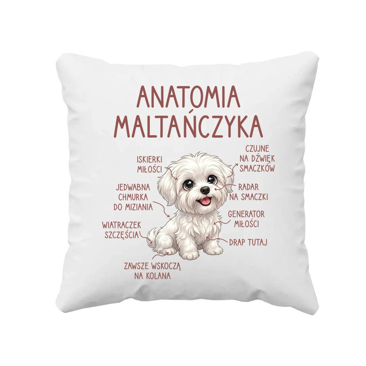 Anatomia maltańczyka - poduszka na prezent