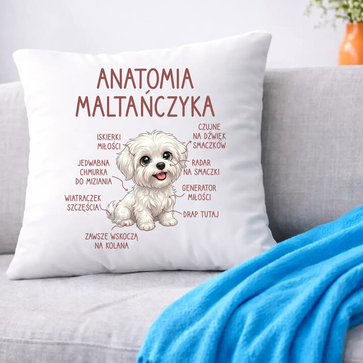Anatomia maltańczyka - poduszka na prezent