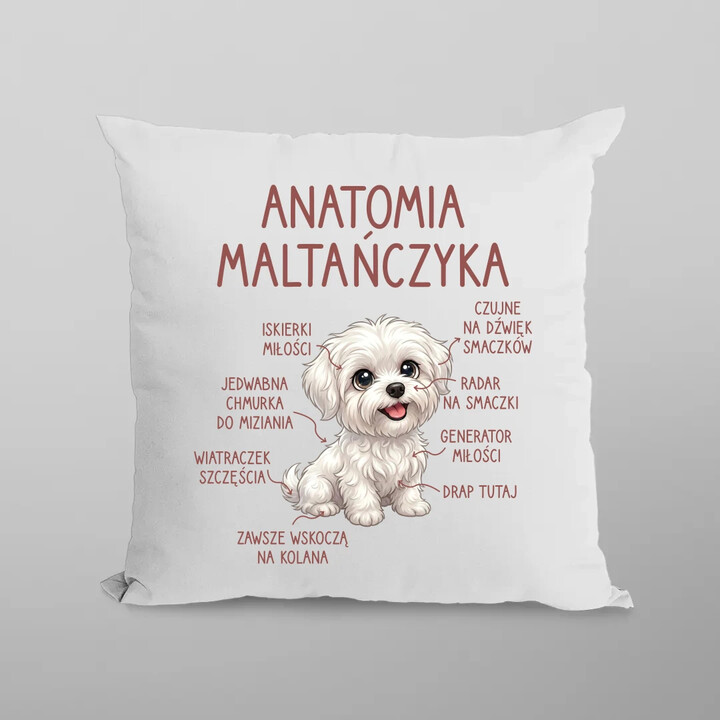 Anatomia maltańczyka - poduszka na prezent