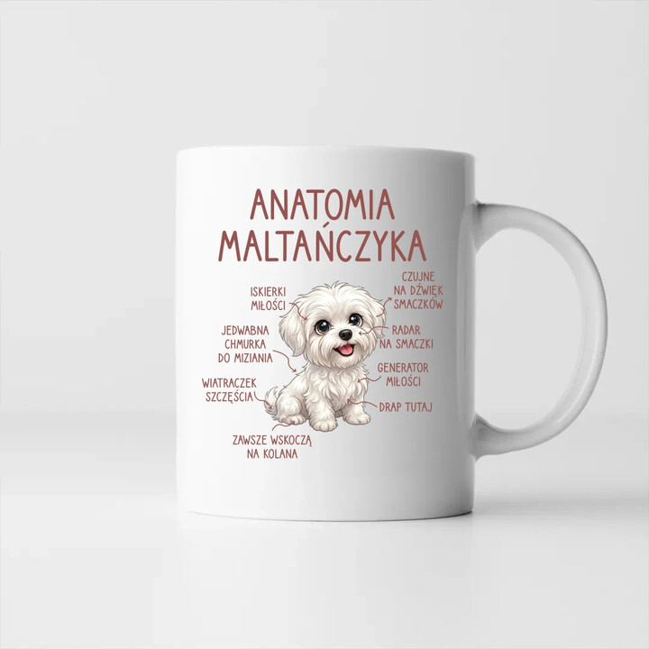 Anatomia maltańczyka - kubek na prezent