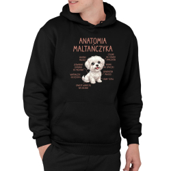 Anatomia maltańczyka - męska bluza na prezent