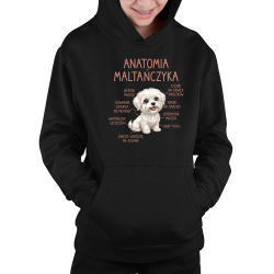 Anatomia maltańczyka - dziecięca bluza na prezent
