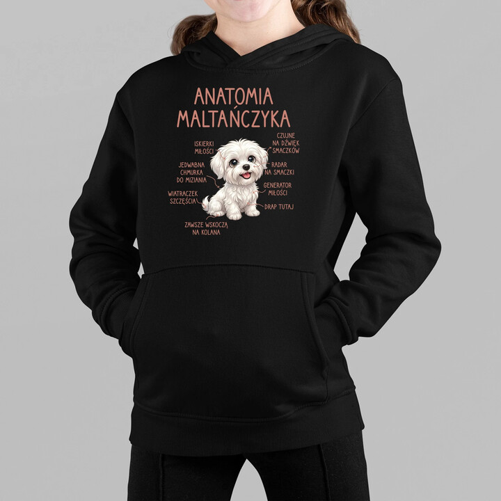 Anatomia maltańczyka - dziecięca bluza na prezent