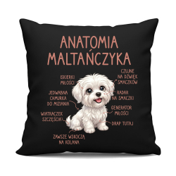 Anatomia maltańczyka - czarna poduszka na prezent