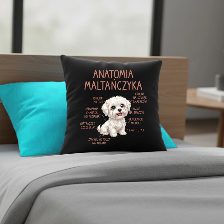Anatomia maltańczyka - czarna poduszka na prezent