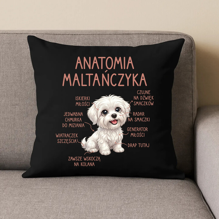 Anatomia maltańczyka - czarna poduszka na prezent