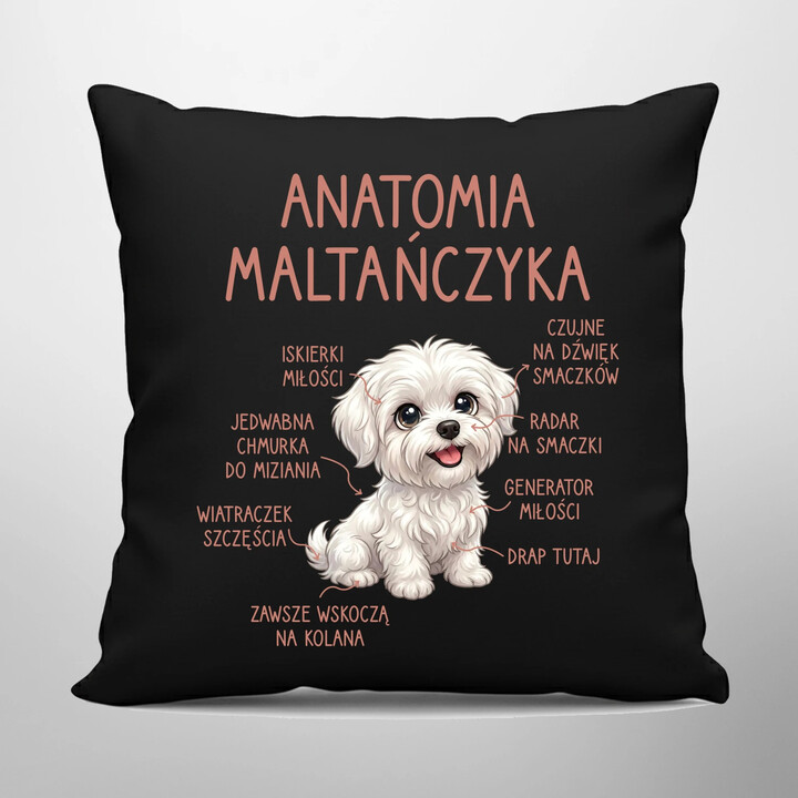 Anatomia maltańczyka - czarna poduszka na prezent