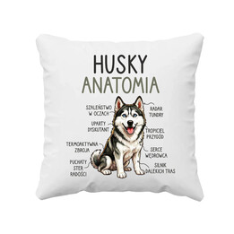 Husky anatomia - poduszka na prezent