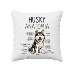Husky anatomia - poduszka na prezent