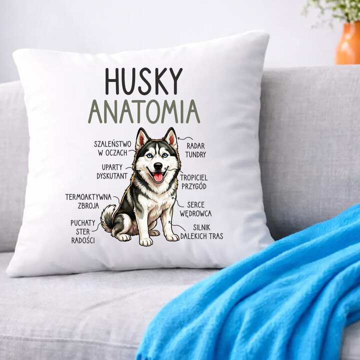 Husky anatomia - poduszka na prezent