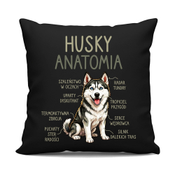 Husky anatomia - czarna poduszka na prezent