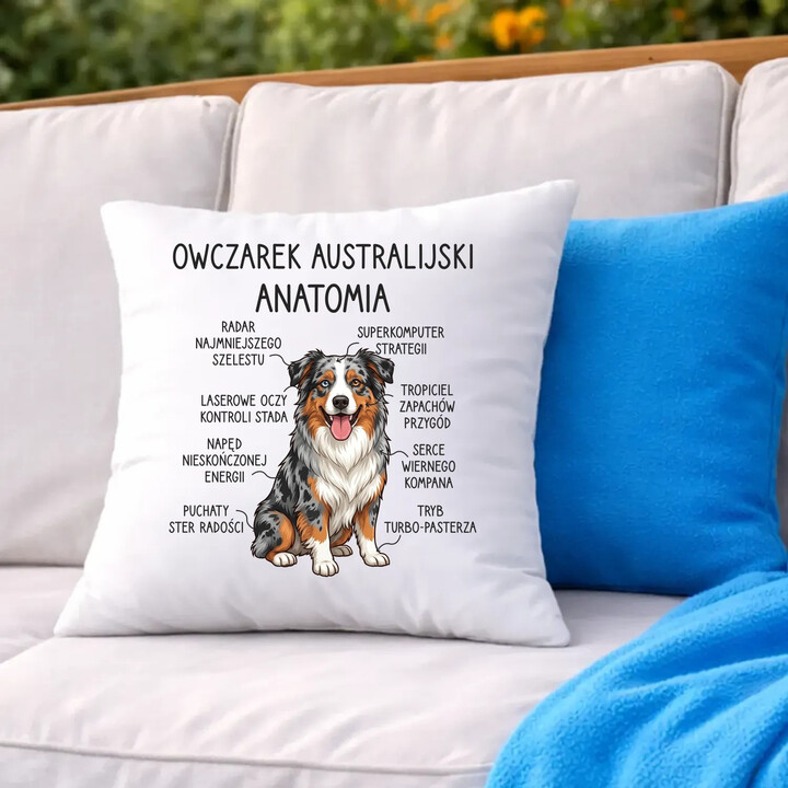 Owczarek Australijski - anatomia - poduszka na prezent