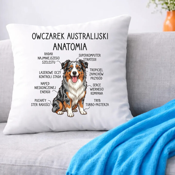 Owczarek Australijski - anatomia - poduszka na prezent