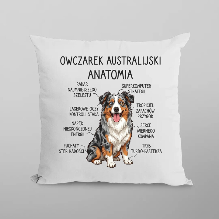 Owczarek Australijski - anatomia - poduszka na prezent