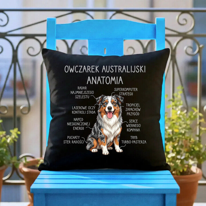Owczarek Australijski - anatomia - czarna poduszka na prezent