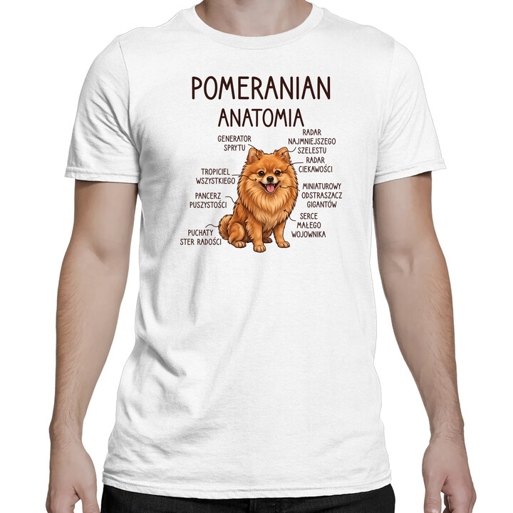 Pomeranian - anatomia - męska koszulka na prezent