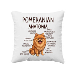 Pomeranian - anatomia - poduszka na prezent